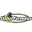 Global Formulas logo